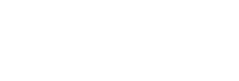 Texas State History Blog